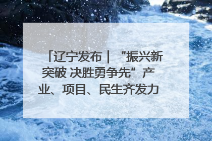 辽宁发布｜“振兴新突破 决胜勇争先”产业、项目、民生齐发力 葫芦岛按下决胜之年“加速键”