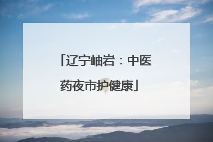辽宁岫岩：中医药夜市护健康