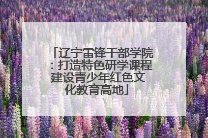 辽宁雷锋干部学院：打造特色研学课程 建设青少年红色文化教育高地