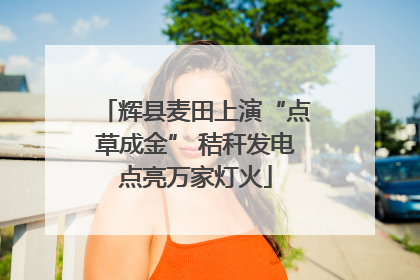 辉县麦田上演“点草成金” 秸秆发电点亮万家灯火