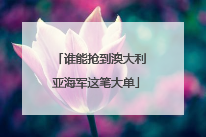 谁能抢到澳大利亚海军这笔大单