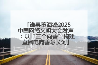 谦寻董海锋2025中国网络文明大会发声：以“三个向善”构建直播电商善意长河