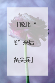 豫北“飞”来后备尖兵