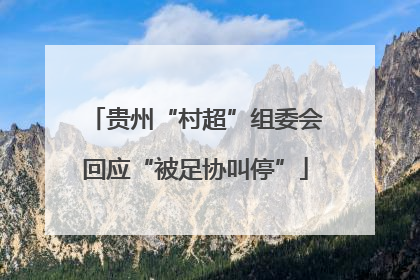 贵州“村超”组委会回应“被足协叫停”