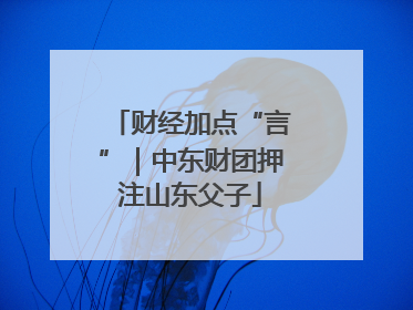 财经加点“言”｜中东财团押注山东父子