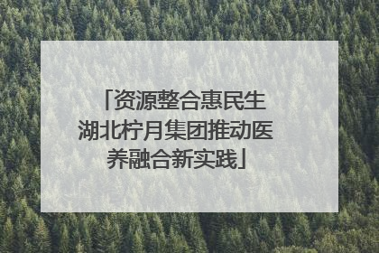 资源整合惠民生 湖北柠月集团推动医养融合新实践