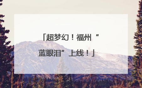 超梦幻！福州“蓝眼泪”上线！