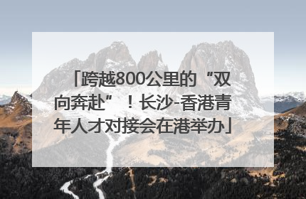 跨越800公里的“双向奔赴”！长沙-香港青年人才对接会在港举办