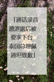通话录音遭泄露后被要求下台 泰国总理佩通坦致歉