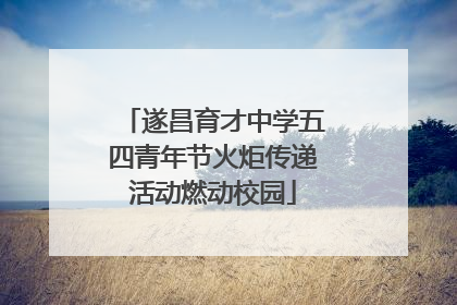 遂昌育才中学五四青年节火炬传递活动燃动校园