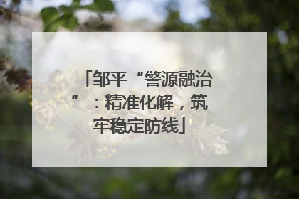 邹平“警源融治”：精准化解，筑牢稳定防线