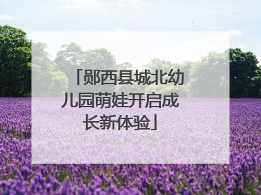 郧西县城北幼儿园萌娃开启成长新体验