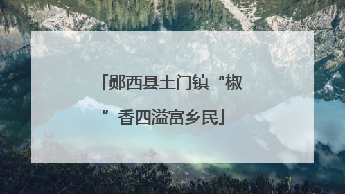 郧西县土门镇“椒”香四溢富乡民