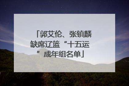 郭艾伦、张镇麟缺席辽篮“十五运”成年组名单
