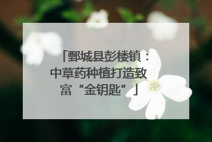鄄城县彭楼镇：中草药种植打造致富“金钥匙”