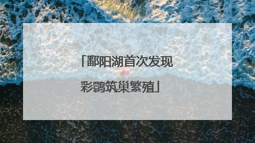 鄱阳湖首次发现彩鹮筑巢繁殖