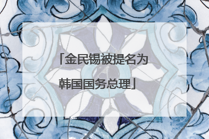 金民锡被提名为韩国国务总理
