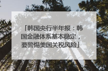 韩国央行半年报：韩国金融体系基本稳定，要警惕美国关税风险