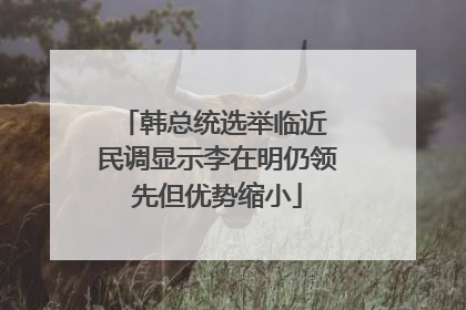 韩总统选举临近 民调显示李在明仍领先但优势缩小