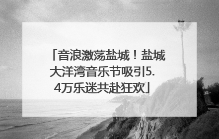 音浪激荡盐城！盐城大洋湾音乐节吸引5.4万乐迷共赴狂欢