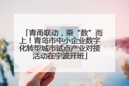 青甬联动，乘“数”而上！青岛市中小企业数字化转型城市试点产业对接活动在宁波开班