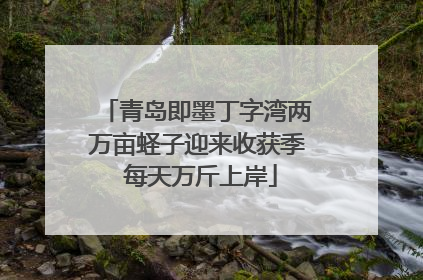 青岛即墨丁字湾两万亩蛏子迎来收获季 每天万斤上岸