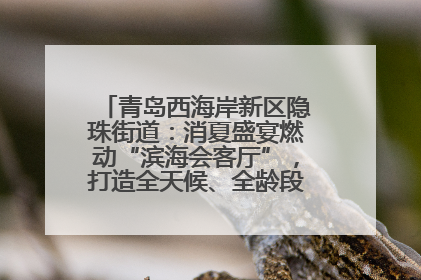 青岛西海岸新区隐珠街道：消夏盛宴燃动“滨海会客厅”，打造全天候、全龄段消费生态圈