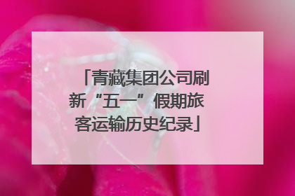 青藏集团公司刷新“五一”假期旅客运输历史纪录
