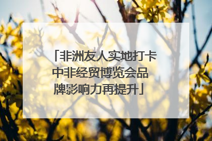 非洲友人实地打卡 中非经贸博览会品牌影响力再提升
