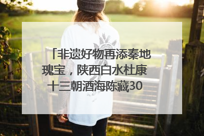 非遗好物再添秦地瑰宝，陕西白水杜康十三朝酒海陈藏30年别具一格