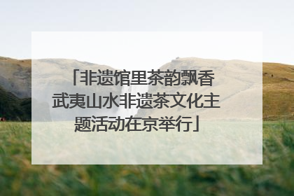 非遗馆里茶韵飘香 武夷山水非遗茶文化主题活动在京举行
