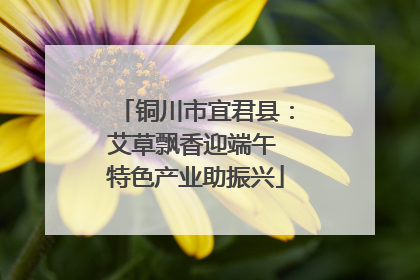 铜川市宜君县：艾草飘香迎端午 特色产业助振兴