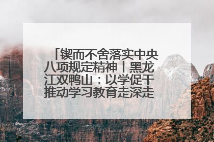 锲而不舍落实中央八项规定精神丨黑龙江双鸭山：以学促干推动学习教育走深走实 从小事入手写好“民生答卷”