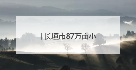 长垣市87万亩小麦开镰收割 机械化作业保障夏粮归仓