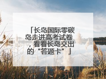 长岛国际零碳岛走进高考试卷，看看长岛交出的“答题卡”