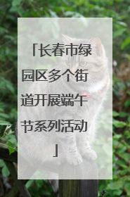 长春市绿园区多个街道开展端午节系列活动