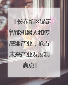 长春新区锚定智能机器人和传感器产业，抢占未来产业发展制高点