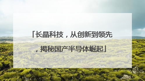长晶科技，从创新到领先，揭秘国产半导体崛起