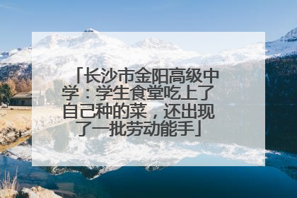 长沙市金阳高级中学：学生食堂吃上了自己种的菜，还出现了一批劳动能手