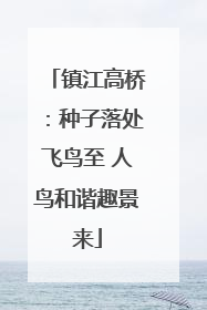 镇江高桥：种子落处飞鸟至 人鸟和谐趣景来