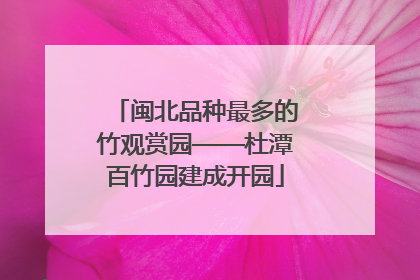 闽北品种最多的竹观赏园——杜潭百竹园建成开园