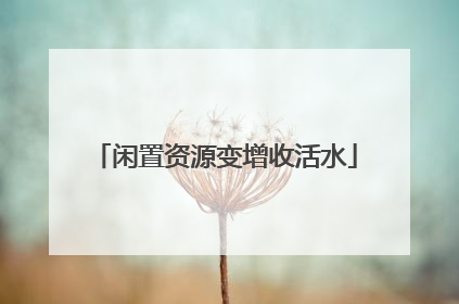 闲置资源变增收活水
