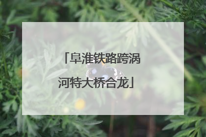 阜淮铁路跨涡河特大桥合龙