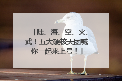 陆、海、空、火、武！五大硬核天团喊你一起来上号！