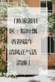 陈家渡社区：粽叶飘香迎端午 清风正气话清廉
