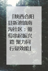 陕西合阳县新池镇南沟社区：葡萄串起振兴路 聚力同行显效能