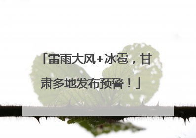 雷雨大风+冰雹，甘肃多地发布预警！