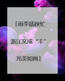 雨季插秧忙 浙江文成“丰”光美如画