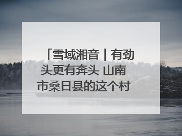 雪域湘音｜有劲头更有奔头 山南市桑日县的这个村落迎来蜕变