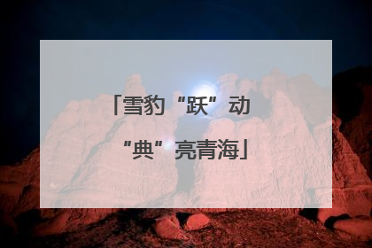 雪豹“跃”动 “典”亮青海